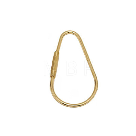 Brass Screw Carabiner Lock Charms LS-KK-ZX025-66C-1