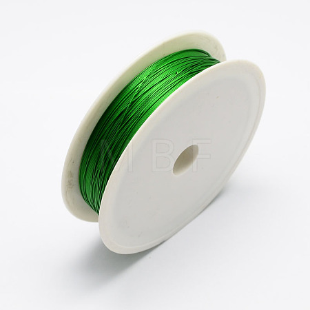 Round Iron Wire MW-R001-0.3mm-05-1