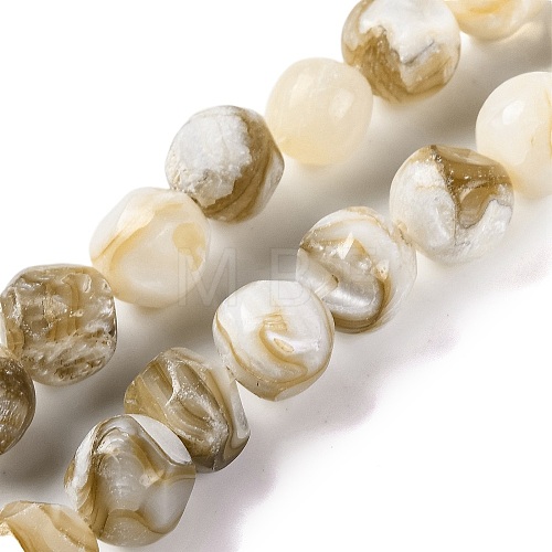 Natural Freshwater Shell Beads Strands BSHE-S304-03-1