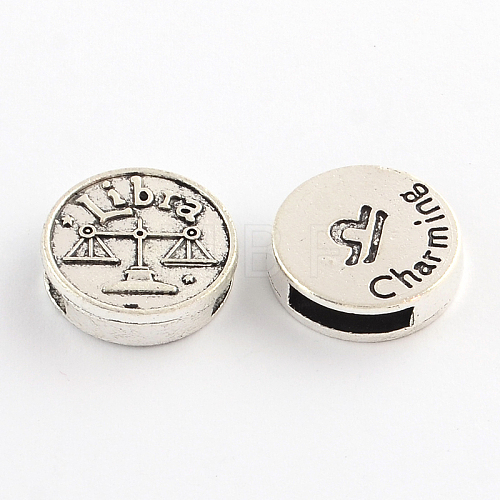 Antique Silver Plated Tibetan Style Flat Round Alloy Slide Charms TIBEB-Q063-05AS-NR-1