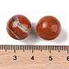 Natural Red Jasper No Hole Sphere Beads G-K353-04C-07-3