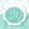 Drawbench Style Glass Seed Beads SEED-N008-11H-2