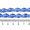 Transparent Glass Beads Strands EGLA-N013-T4mm-D10-4