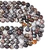 Natural Botswana Agate Beads Strands G-G453-A01-12mm-5