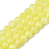 Natural Freshwater Shell Beads Strands BSHE-T009A-01H-1