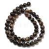 Natural Rhodonite Round Beads Strands G-R494-A21-03-2