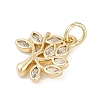 Rack Plating Brass Micro Pave Cubic Zirconia Pendants LS-KK-H509-19G-01-2