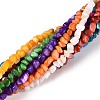 Natural Freshwater Shell Beads Strands SHEL-N037-04A-2