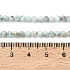 Natural Larimar Beads Strands G-F785-B01-01A-3