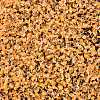 8/0 Inside Colours Transparent Glass Seed Beads X1-SEED-T007-06F-2
