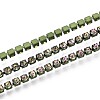 Iron Rhinestone Cup Chains CH-T006-05B-16-1