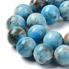 Natural Apatite Beads Strands G-G858-01C-3