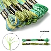 12 Skeins 6 Colors 6-Ply Polyester Embroidery Floss OCOR-FS0001-01B-04-3