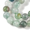 Natural Fluorite Beads Strands X-G-P530-B04-03-3