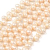 Natural Cultured Freshwater Pearl Beads Strands PEAR-I007-04E-02B-2