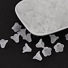 Frosted Acrylic Beads PL692-13-2