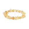 6Pcs 6 Style Natural Mixed Gemstone Chips Stretch Bracelets Set BJEW-JB08916-3