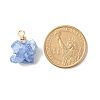 Natural Crystal Agate Pendants PALLOY-JF01366-03-5