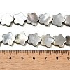 Natural Black Lip Shell Beads Strands SHEL-M021-02A-4