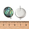 304 Stainless Steel Pave Natural Paua Shell Stud Earring Findings STAS-Z125-09P-3