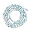 Natural Larimar Beads Strands G-F803-C01-03A-3