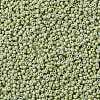 MIYUKI Round Rocailles Beads SEED-G008-RR4473-3