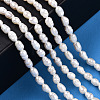 Natural Cultured Freshwater Pearl Beads Strands PEAR-N012-03H-6