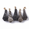 Natural Agate Pendants G-S359-059G-1