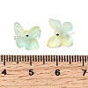 Glass Charms GLAA-G127-04G-3