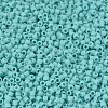 MIYUKI Delica Beads SEED-X0054-DB1586-3
