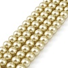 Preciosa® MAXIMA Crystal Nacre Pearls Y-PRC-NPA6-71600-2