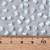 FGB Grade A Frosted Glass Seed Beads SEED-Q040-04A-02-6