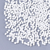 Baking Paint Glass Beads SEED-S023-11B-15-2