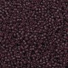 TOHO 11/0 Round Beads SEED-XTR11-0006BF-2