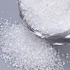 Transparent Glass Seed Beads SEED-Q029-C-01-1
