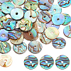 Natural Paua Shell/Abalone Shell Beads SSHEL-GA0001-04-1