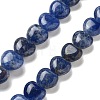 Natural Sodalite Beads Strands G-R190-10mm-37-1