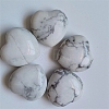 Natural Howlite Display Decorations PW-WG37563-10-1