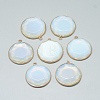 Opalite Pendants G-Q967-07-1