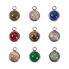 Fashewelry 9Pcs 9 Styles Natural Mixed Stone Charms G-FW0001-28-12