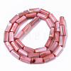 Natural Freshwater Shell Beads SHEL-R047-01D-2