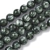 Natural Seraphinite Beads Strands G-C270-O01-07-2