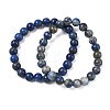 Natural Lapis Lazuli Round Beaded Stretch Bracelets GG-CBA12F1-02A-09-4