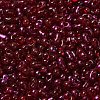 Spray Painted Glass Seed Beads SEED-F005-11A-05-3