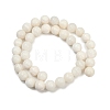 Natural White Shell Beads Strands BSHE-U001-01A-2