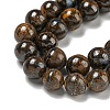 Natural Boulder Opal Beads Strands G-P544-A01-02-4