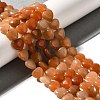 Natural Aventurine Beads Strands G-R190-10mm-48A-1