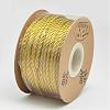 Eco-Friendly Dyed Nylon Threads NWIR-G013-2mm-41-2