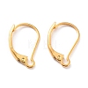 304 Stainless Steel Leverback Earring Findings LS-STAS-K233-04G-1