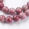 Natural Fossil Coral Beads Strands G-F563-01-10mm-3